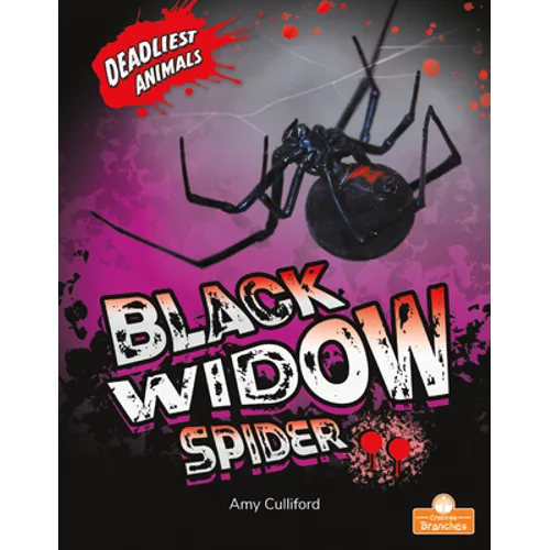 Black Widow Spider