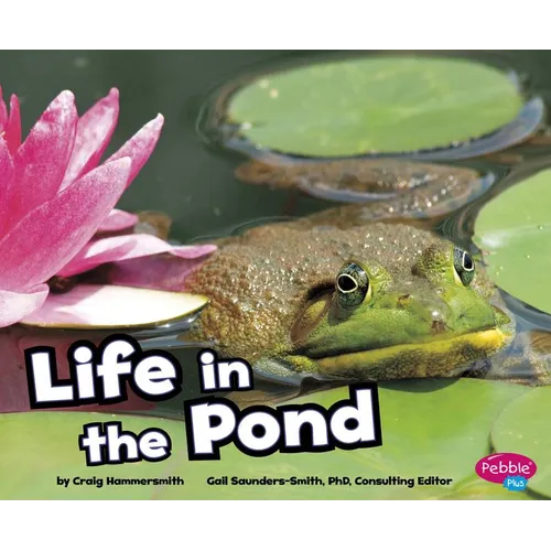 Life in the Pond