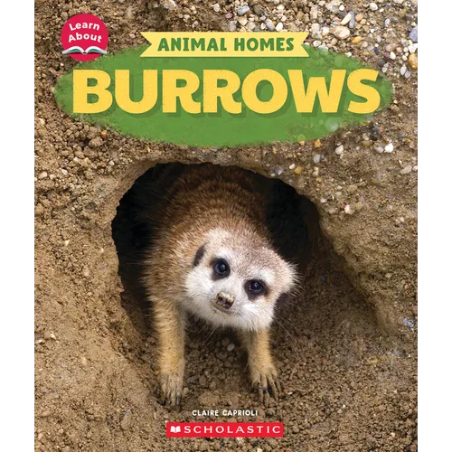 Burrows (Learn About: Animal Homes)