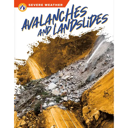 Avalanches and Landslides