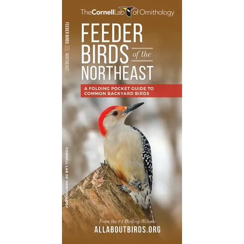Feeder Birds of the Northeast: A Folding Pocket Guide to Common Backyard Birds