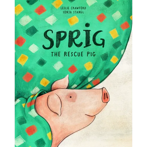 Sprig the Rescue Pig