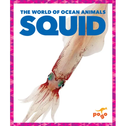 Squid