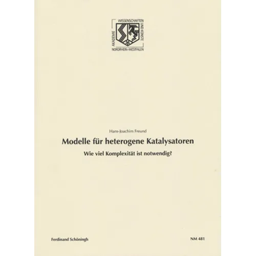 Modelle Für Heterogene Katalysatoren: Wie Viel Komplexität Ist Notwendig?