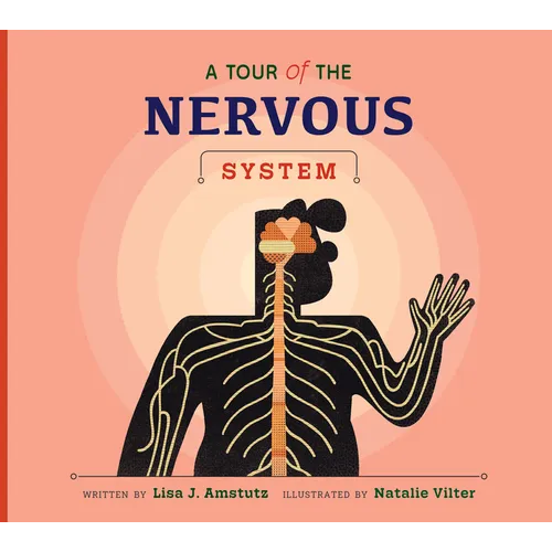 A Tour of the Nervous System