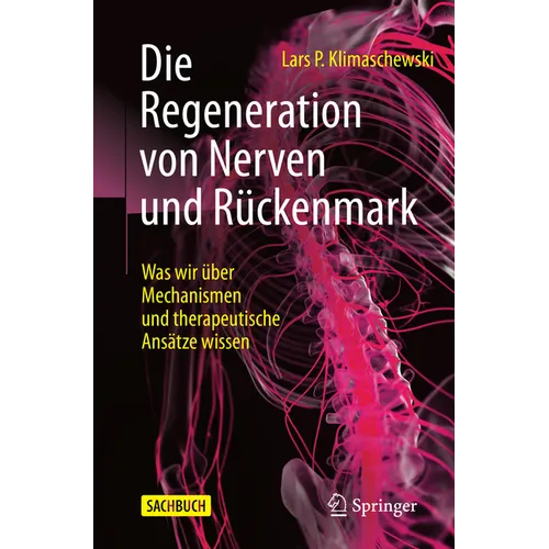 Die Regeneration Von Nerven Und Rückenmark: Was Wir Über Mechanismen Und Therapeutische Ansätze Wissen