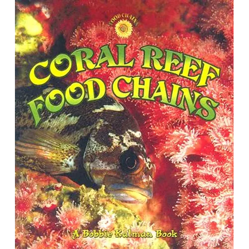 Coral Reef Food Chains