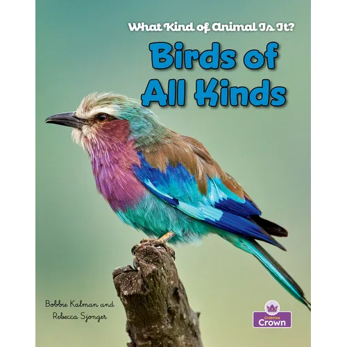 Birds of All Kinds