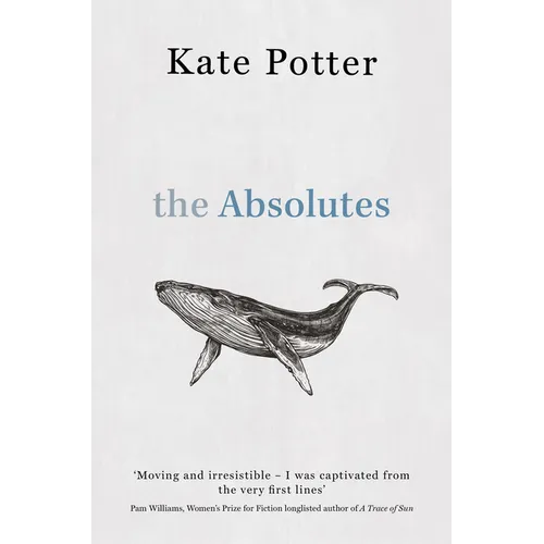 The Absolutes: A Profound Exploration of Grief Told Through Fragments of Memory