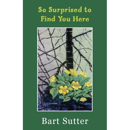 So Surprised to Find You Here: Poems