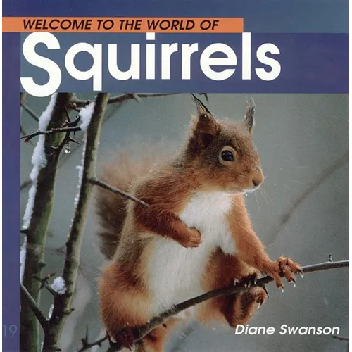 Welcome to the World of Squirrels