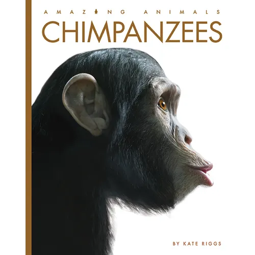 Chimpanzees