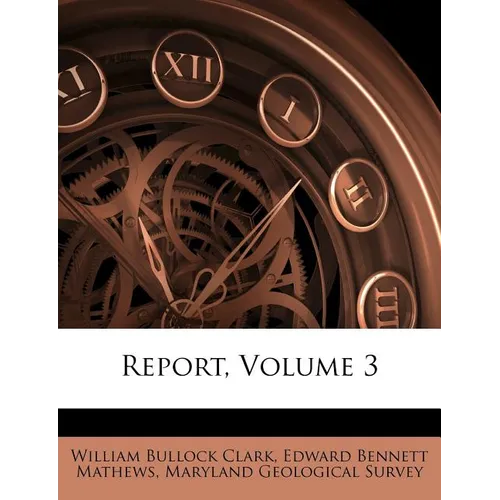 Report, Volume 3