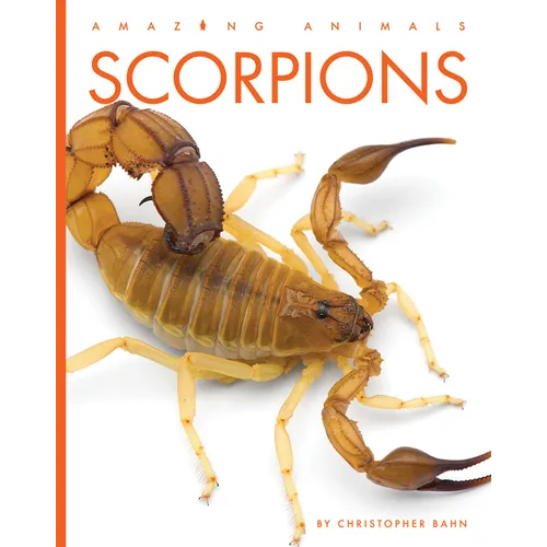 Scorpions - Paperback