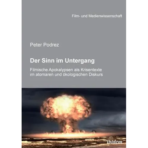 Der Sinn im Untergang. Filmische Apokalypsen als Krisentexte im atomaren und ökologischen Diskurs.