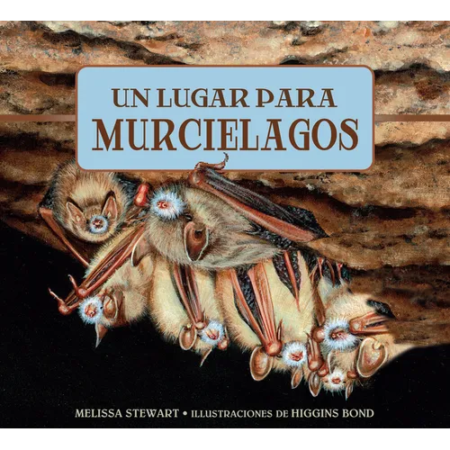 Un Lugar Para Los Murci駘agos