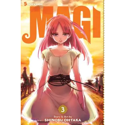 Magi: The Labyrinth of Magic, Vol. 3