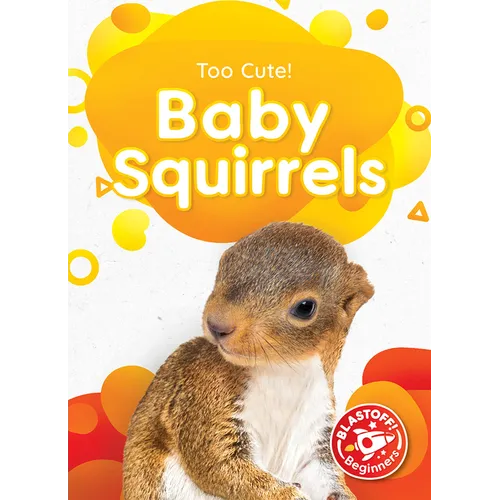 Baby Squirrels
