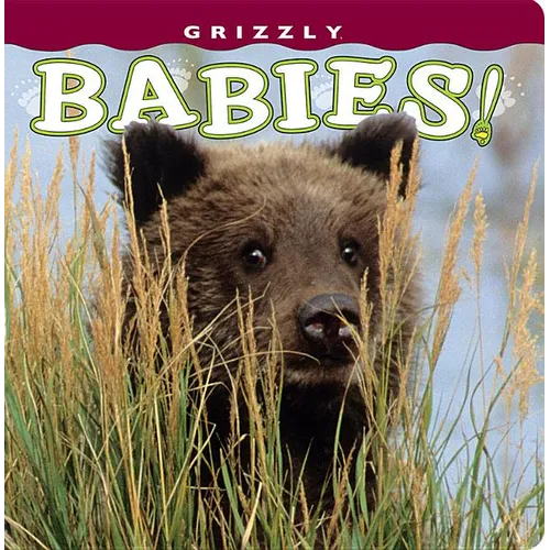 Grizzly Babies!