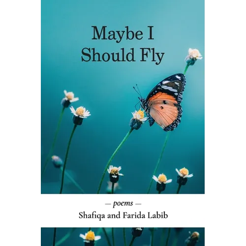 Maybe I Should Fly