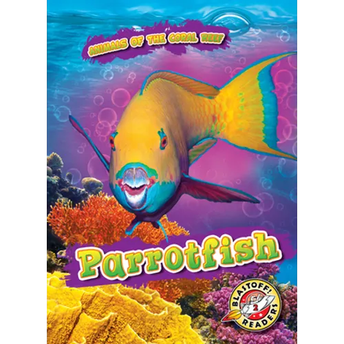 Parrotfish