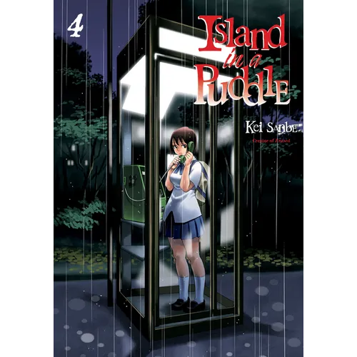 Island in a Puddle 4