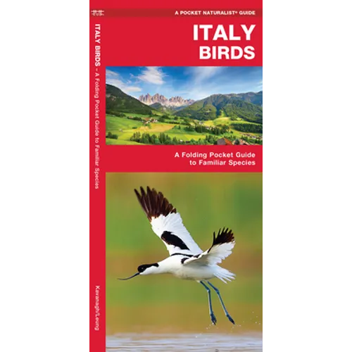 Italy Birds: A Folding Pocket Guide to Familiar Species