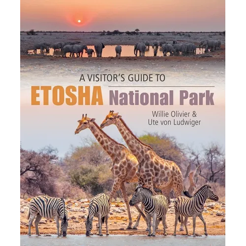 A Visitor's Guide to Etosha National Park