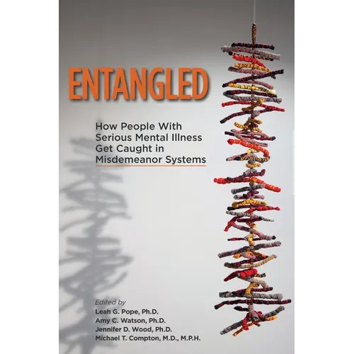 Entangled: How People With Serious Mental Illness Get Caught in Misdemeanor Systems