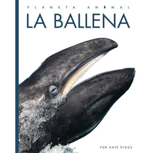 La Ballena