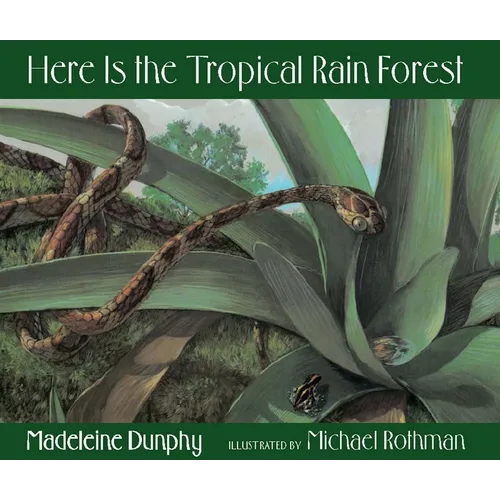 Here Is the Tropical Rain Forest