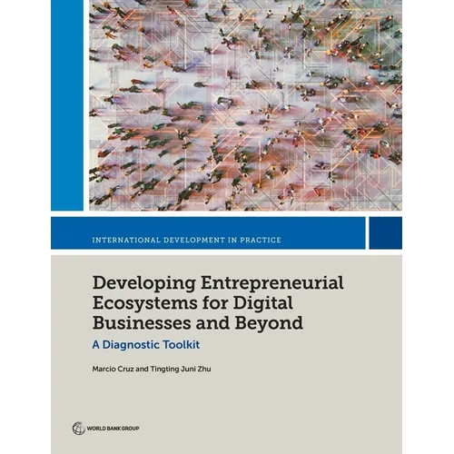 Developing Entrepreneurial Ecosystems for Digital Businesses and Beyond: A Diagnostic Toolkit