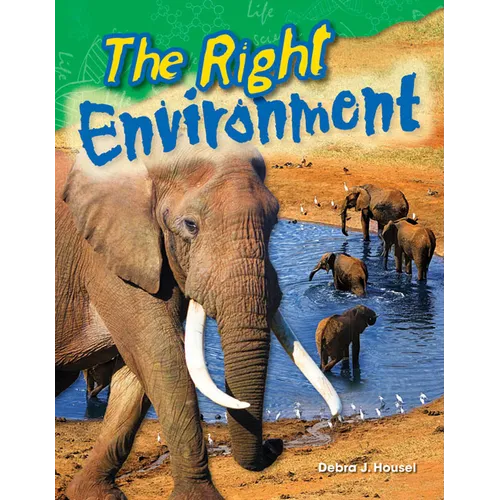 The Right Environment