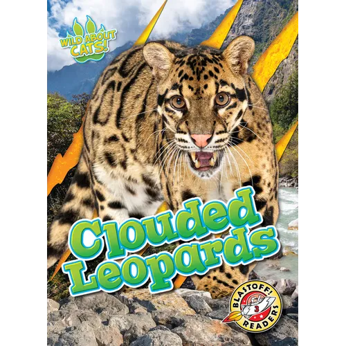 Clouded Leopards