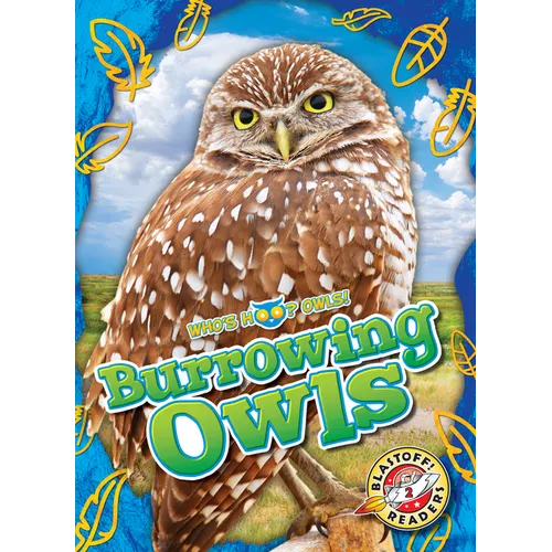 Burrowing Owls