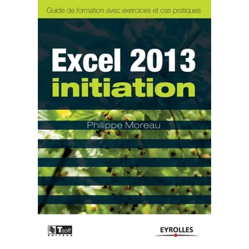 Excel 2013 initiation