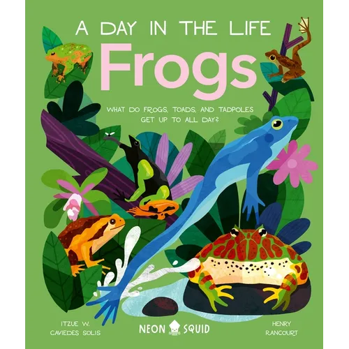 Frogs (a Day in the Life): What Do Frogs, Toads, and Tadpoles Get Up to All Day?