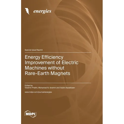 Energy Efficiency Improvement of Electric Machines without Rare-Earth Magnets