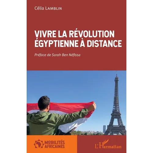 Vivre la révolution égyptienne à distance