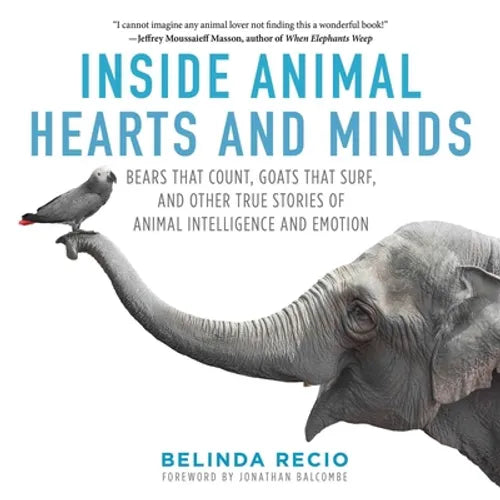 Inside Animal Hearts and Minds: Bears That Count, Goats That Surf, and Other True Stories of Animal Intelligence and Emotion