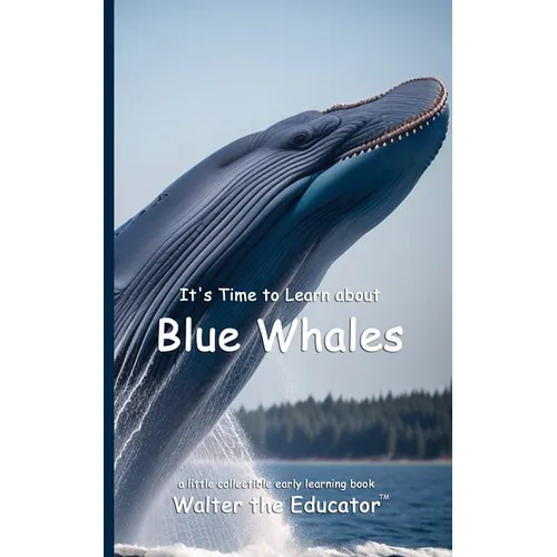 It's Time to Learn about Blue Whales