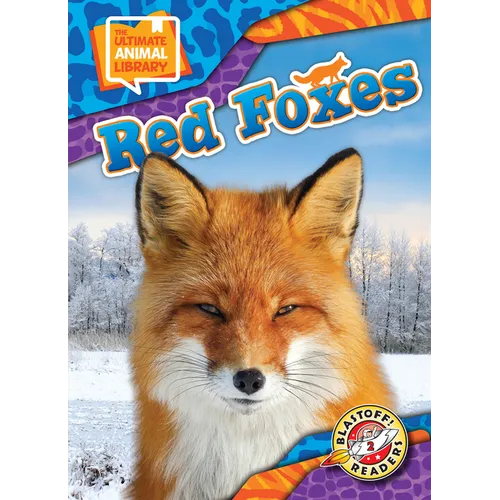 Red Foxes