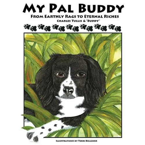 My Pal Buddy