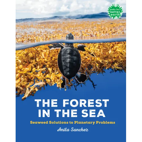 The Forest in the Sea: Seaweed Solutions to Planetary Problems