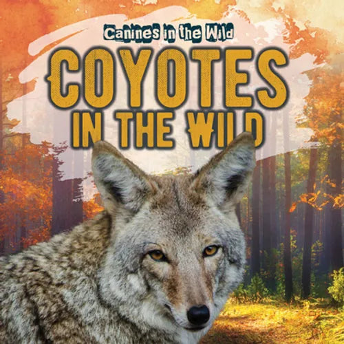 Coyotes in the Wild