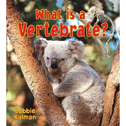 What Is a Vertebrate?