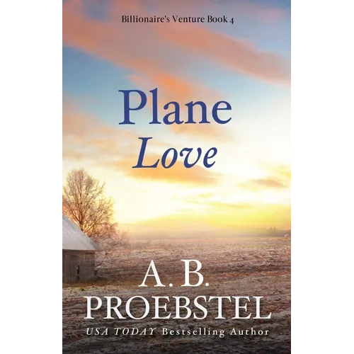 Plane Love: A Christian Romance