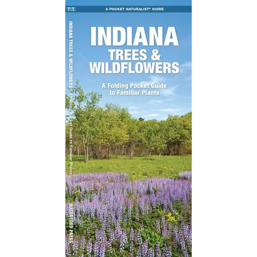 Indiana Trees & Wildflowers: A Folding Pocket Guide to Familiar Plants