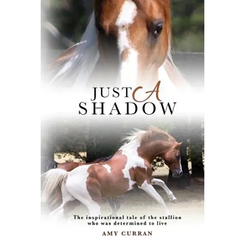Just A Shadow