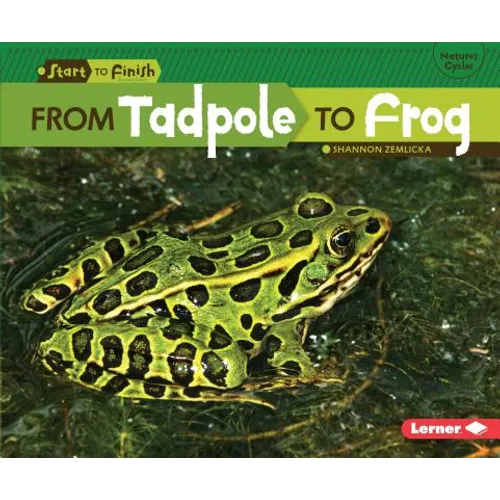 From Tadpole to Frog